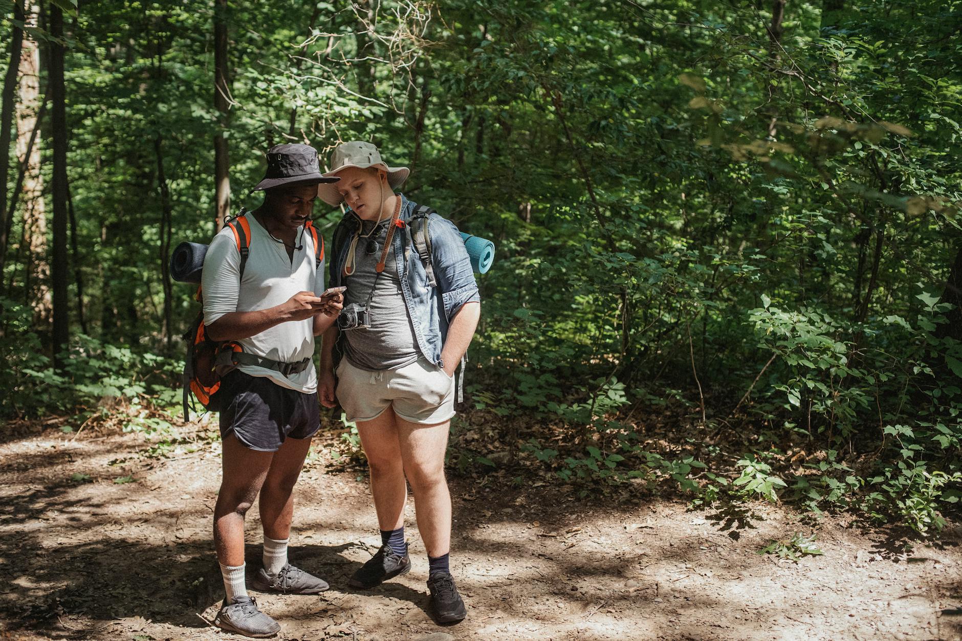 Young multiracial male travelers with rucksacks watching cellphone on pathway against greenery trees in woods