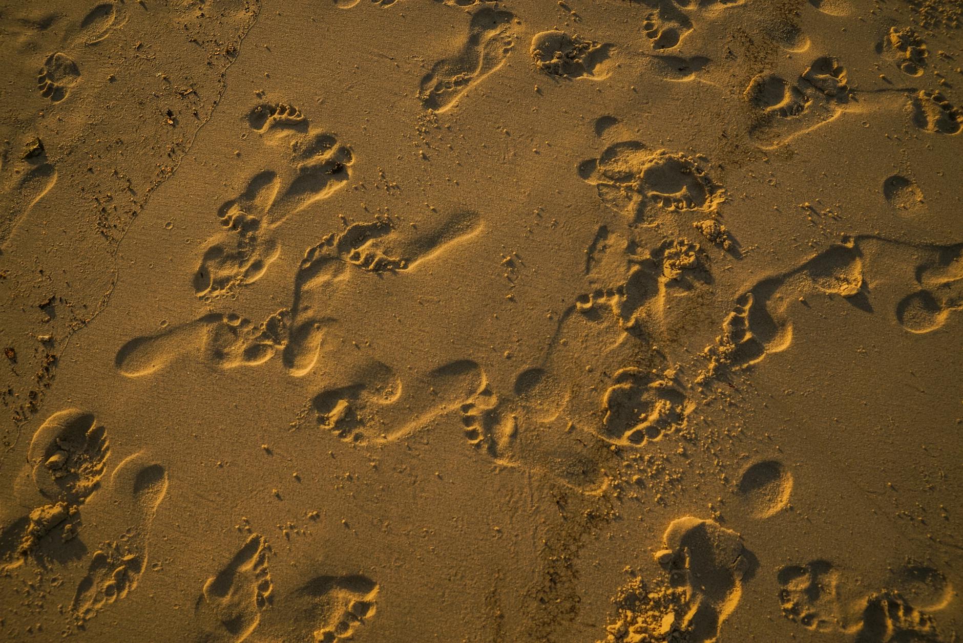 Footprints scattered across a sandy beach, illuminated by warm sunset light.